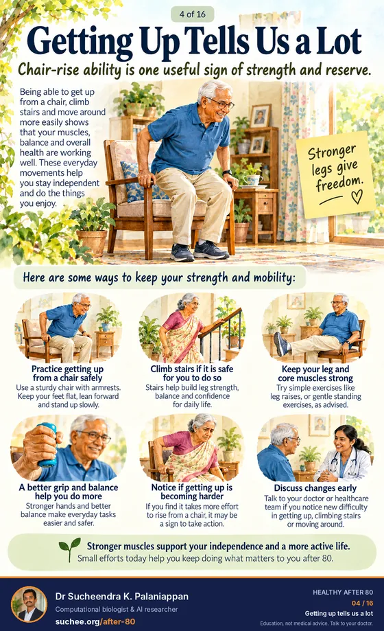 Getting up tells us a lot: practise getting up from a chair safely, climb stairs if it is safe, keep leg and core muscles strong, grip and balance help, notice if getting up is becoming harder, discuss changes early.